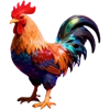 icon-cock f.